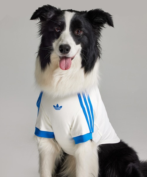 adidasペット服 adidas（アディダス） 犬 服 ペット カリ Tシャツ / アディダス