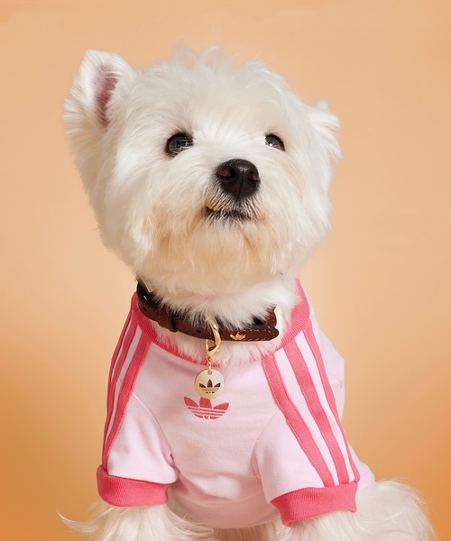 adidas（アディダス） 犬 服 ペット カリ Tシャツ / アディダス