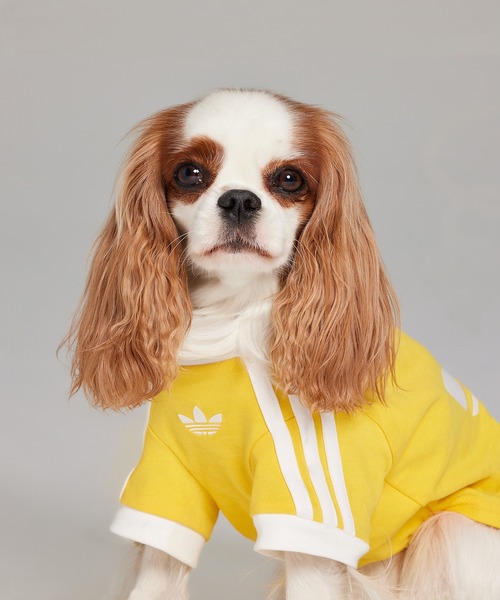 adidas（アディダス） 犬 服 ペット カリ Tシャツ / アディダス