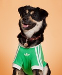 アディダス adidas 犬 ハーネス リード...の詳細画像1