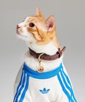 アディダス adidas 犬 ハーネス リード...の詳細画像2