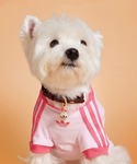 アディダス adidas 犬 ハーネス リード...の詳細画像3
