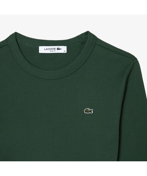 tシャツ ワンポイントリブニットスリムセーター レディース LACOSTE tシャツ ワンポイントリブニットスリムセーター