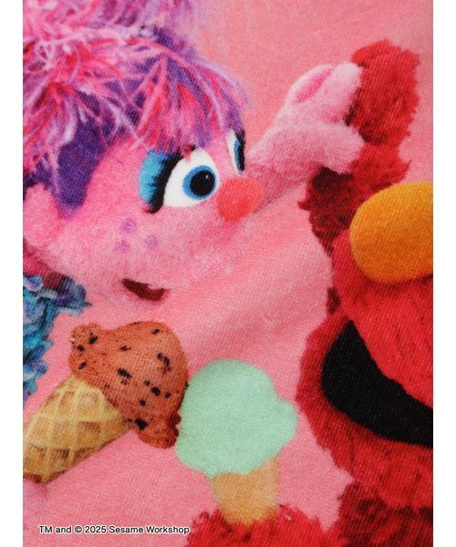 SESAME STREET（セサミストリート） ハンカチ 缶入りプリントタオル