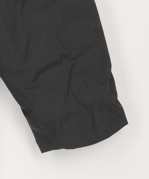 ダウンジャケット ダウン ARC'TERYX/アークテリクス Ralle Down Parka/レイル ダウンパーカ メンズの画像