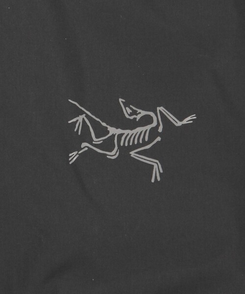 ダウンジャケット ダウン ARC'TERYX/アークテリクス Ralle Down Parka/レイル ダウンパーカ メンズの画像