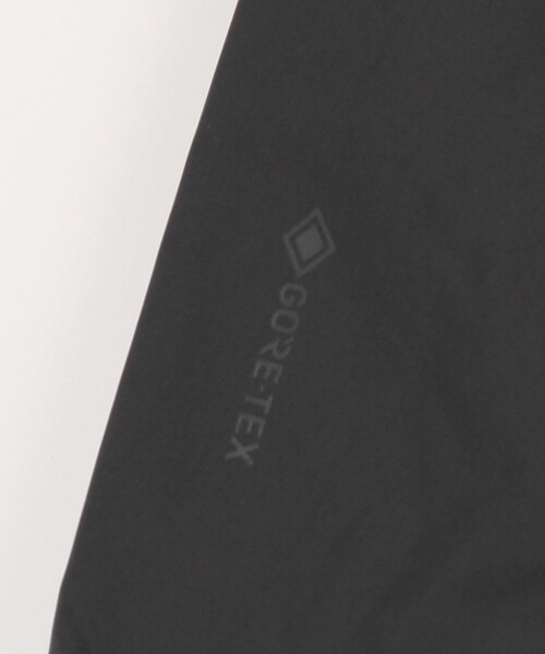 ダウンジャケット ダウン ARC'TERYX/アークテリクス Ralle Down Parka/レイル ダウンパーカ メンズの画像