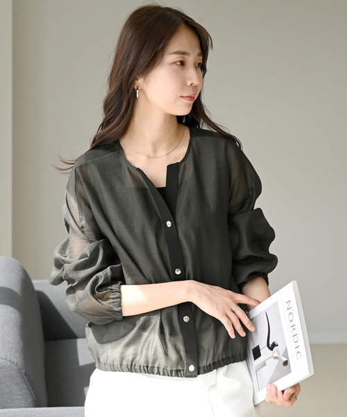 Link  バックスリットポイントシアーブラウス/black Limue ブラウス シャツ バックスリットシアーハイネックブラウス