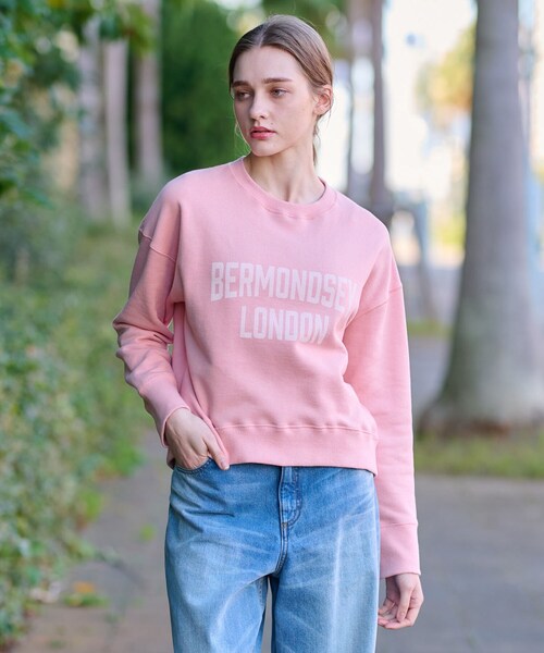 「DRESSTERIOR」 スウェットカットソー 34 ピンク レディースの画像