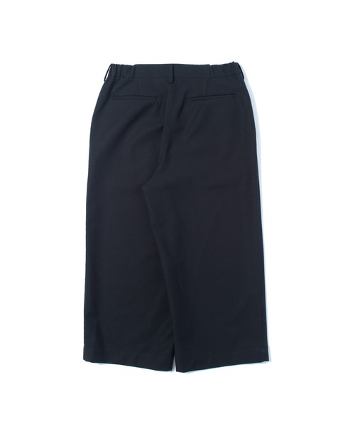 DIGAWEL（ディガウェル） パンツ F/CE. STLTH Wide pants(F/CE