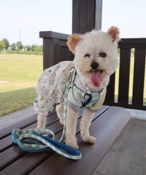 A BATHING APE（アベイシングエイプ） 犬 ハーネス リード ABC CAMO