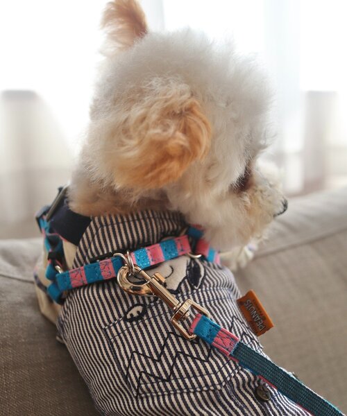 SAHIR（サヒール） 犬 ハーネス リード サヒール」PET HARNESS