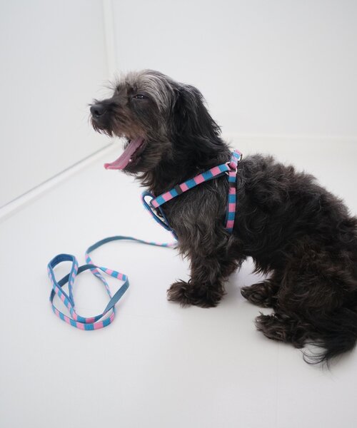 SAHIR（サヒール） 犬 ハーネス リード サヒール」PET HARNESS