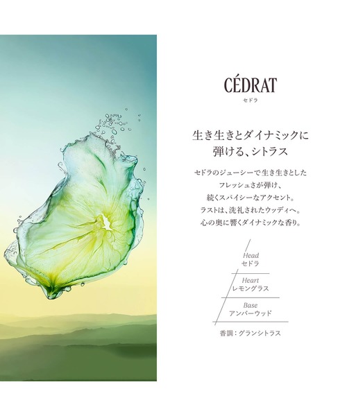 L'OCCITANE（ロクシタン） オールインワン セドラ アフターシェーブ