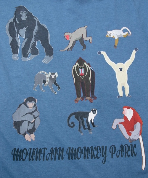 「Mountain Mania」 長袖Tシャツ MEDIUM ブルー メンズ_画像6