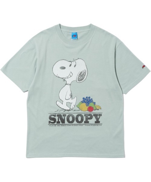FRUIT OF THE LOOM（フルーツオブザルーム） tシャツ 「FRUIT OF THE