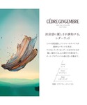香水 ロクシタン loccitane シダージ...の詳細画像4