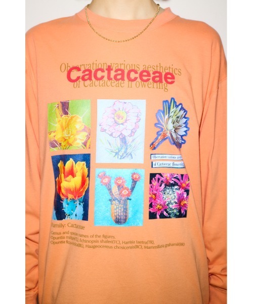tシャツ THROW THE SUCCULENTIST L/S TOPS ザ サキュレンティスト ロングスリーブ トップス レディース THROW by SLY tシャツ THE SUCCULENTIST L/S TOPS ザ サキュレン