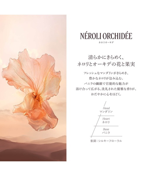 L'OCCITANE（ロクシタン） コスメセット コフレ 「数量限定」ミニ