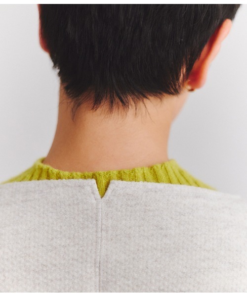 tシャツ Wool Seed Stich ポケットプルオーバー レディース HeRIN.CYE ニット セーター Bi color zip knit pullover バイ