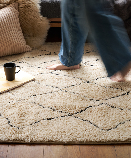 journal standard Furniture（ジャーナル スタンダード ファニチャー