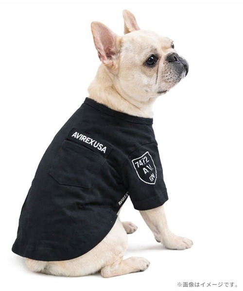 AVIREX（アヴィレックス） 犬 服 AVIREX/アヴィレックス/ファティーグT
