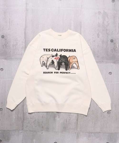 The Endless Summer トレーナー スウェット TES 4BUHI CN SWEAT