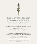ローズマリー スカルプ スクラブの詳細画像5