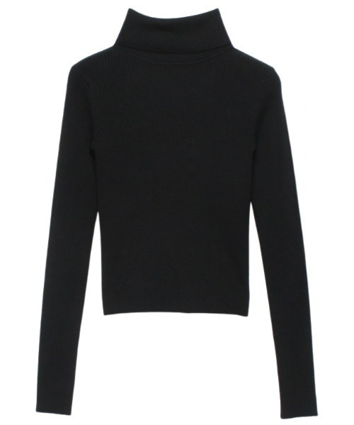 EIMY ISTOIRE（エイミーイストワール） タートルネックニット FREE