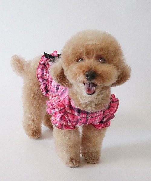 犬服 ハンドメイド フレグランスティアラ柄 犬服 ハンドメイド フレグランスティアラ柄
