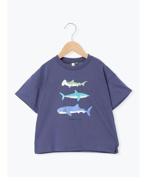 サメtシャツ（ベビー、キッズ、マタニティ）のおすすめ人気商品一覧