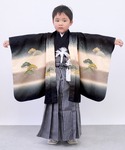着物 5歳 七五三 絵羽 羽織袴 12点セット...の詳細画像3