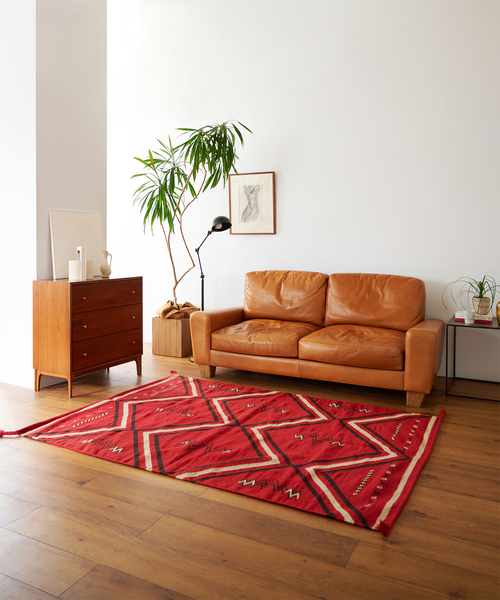 ACME Furniture（アクメファニチャー） ラグ ラグマット KAYANTA RUG