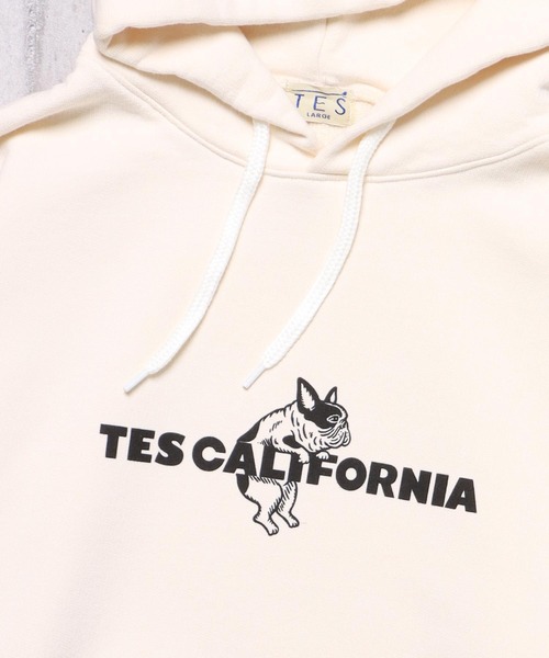 The Endless Summer パーカー TES BUHI ALL STAR SWEAT PARKA
