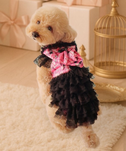 Diable baiser（ディアブルベーゼ） 犬 服 うさ耳パーカーラブリー