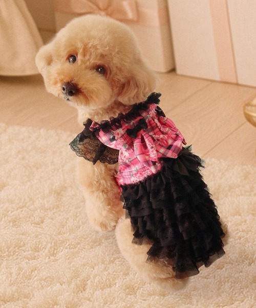 Diable baiser（ディアブルベーゼ） 犬 服 うさ耳パーカーラブリー