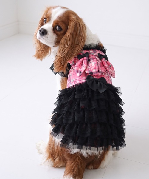 Diable baiser（ディアブルベーゼ） 犬 服 うさ耳パーカーラブリー