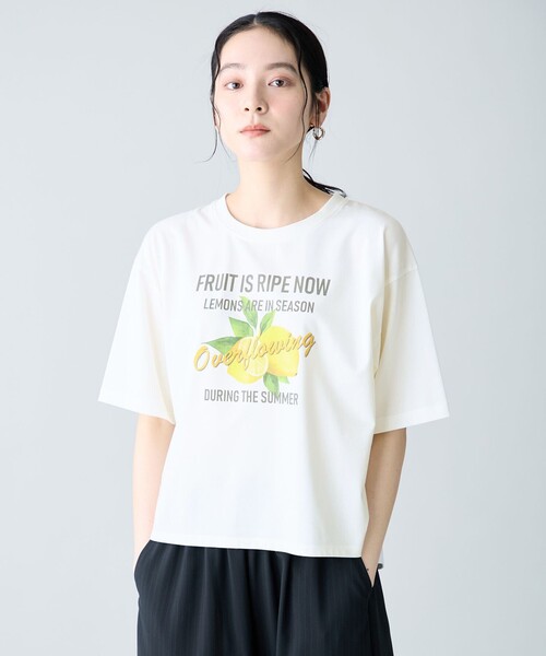 ANY（エニィ） tシャツ 半袖 ANYファンクションロゴTシャツ レディース