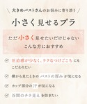 ブラジャー 「小さく見せるブラ」の詳細画像1