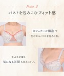 ブラジャー 「小さく見せるブラ」の詳細画像3