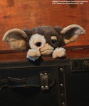おもちゃ 別注「GREMLINS」ギズモぬいぐ...の詳細画像1