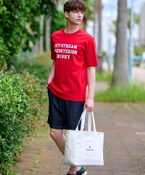 【接触冷感抗菌防臭消臭】ICE CLEAR COTTON ロゴT DRESSTERIOR tシャツ 「接触冷感／抗菌防臭／消臭」ICE CLEAR