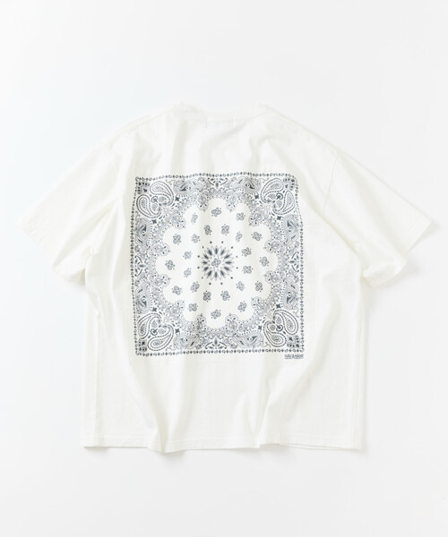 tシャツ メンズの画像