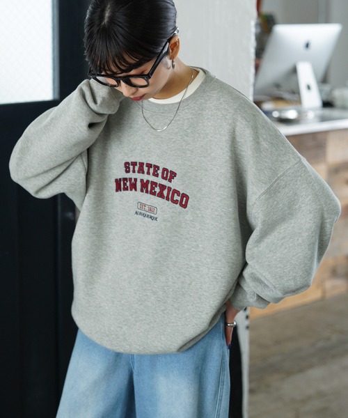 トレーナー スウェット 裏起毛アソートカラフルロゴ刺繍スウェット