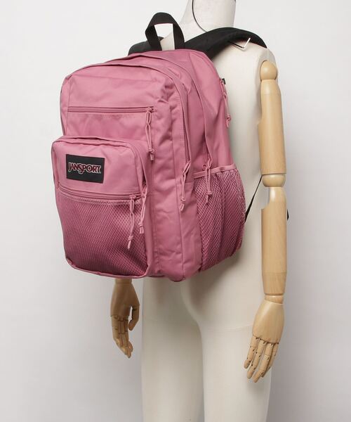 JANSPORT ピンク リュック punkandyo fti JanSport Half Pint Mini Backpack – ShopCGX
