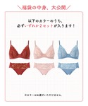 福袋 「福袋」 ウイング 「マッチミーブラ」 ...の詳細画像3