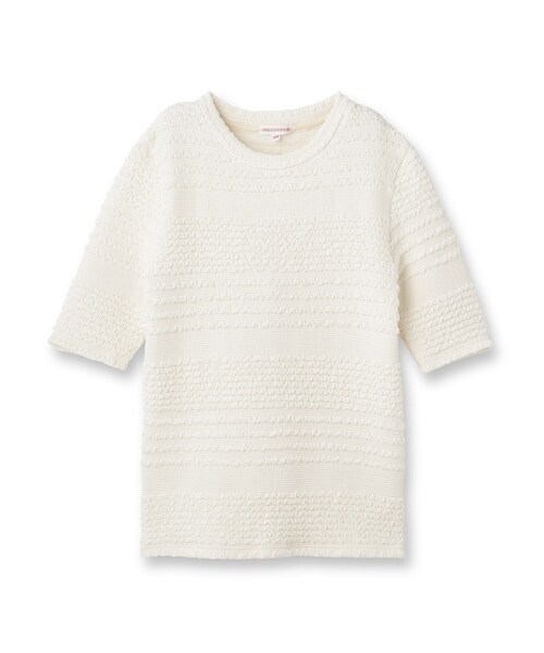 「DRESSTERIOR」 半袖Tシャツ 34 ブラック レディース_画像2