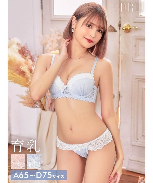 早い者勝ち ホイップバニー 脇高ブラ など ブラ ショーツセット 詰め合わせ ブラジャー ショーツセット ガーリー レース バタフライ 育乳 脇