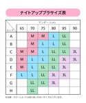 ワコール ナイトブラ 「ナイトアップブラ」 ノ...の詳細画像1