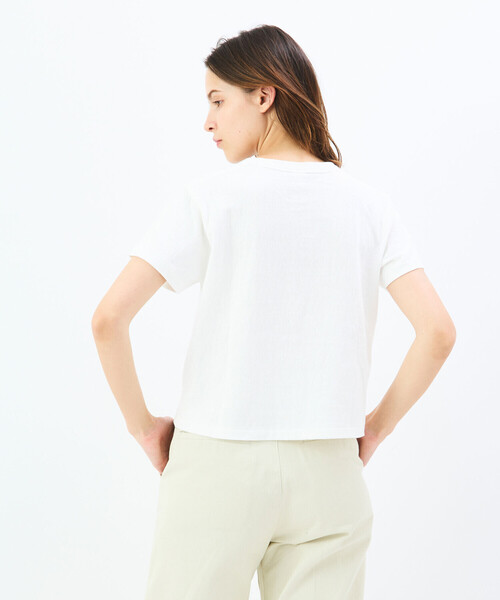 ORCIVAL tシャツ | コットン天竺 クルーネック半袖Tシャツ WOMEN